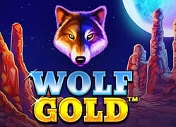 Wolf G Casino Game  Lucky Elf Casino Online Canada