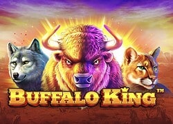 Buffalo King Casino Slot  Lucky Elf Casino Online Canada