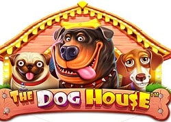 Dog House Casino Game  Lucky Elf Casino Online Canada